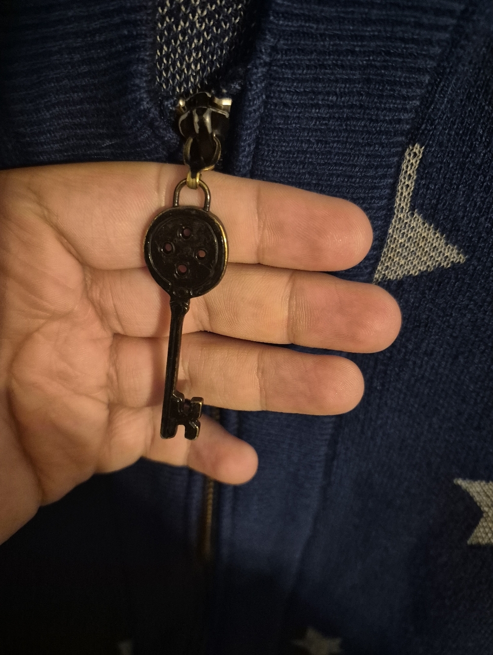 Coraline gitd zip up sweater - Picture 4 of 12